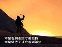 上海而萨而网络科技有限公司