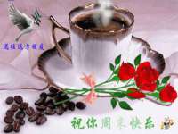 上海而萨而网络科技有限公司